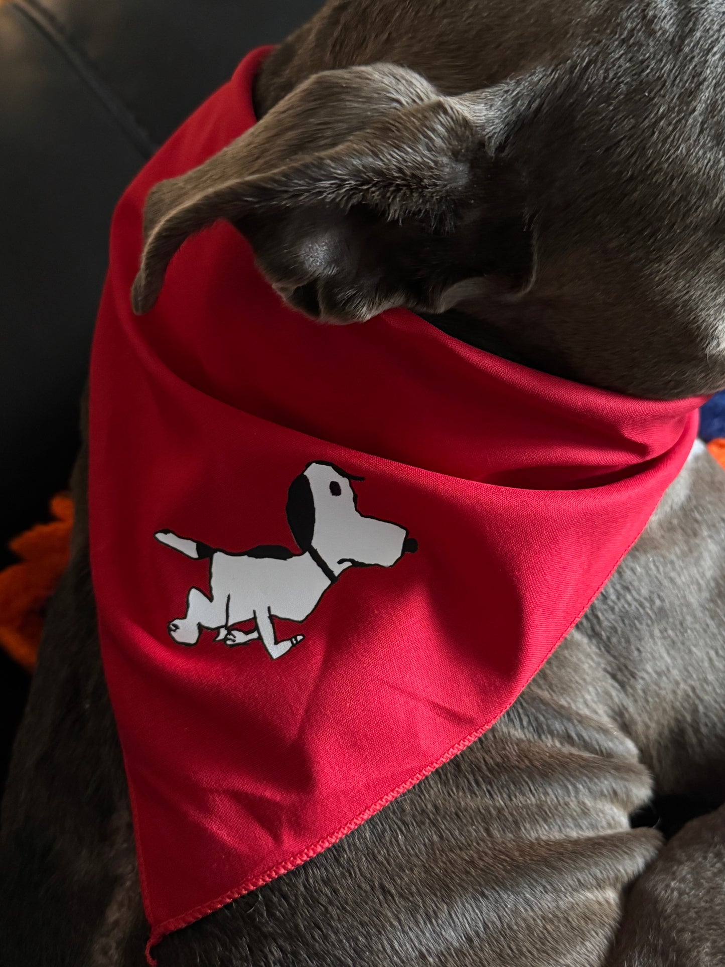 Snoopy Bandana